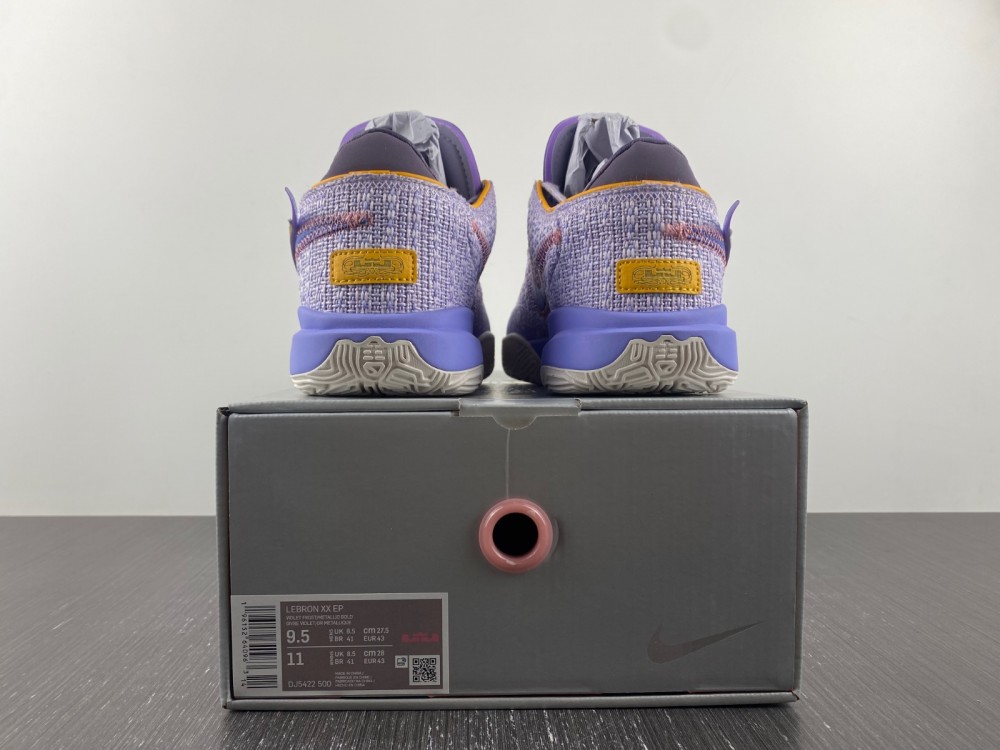Nike LeBron 20 Violet Frost  DJ5423-500