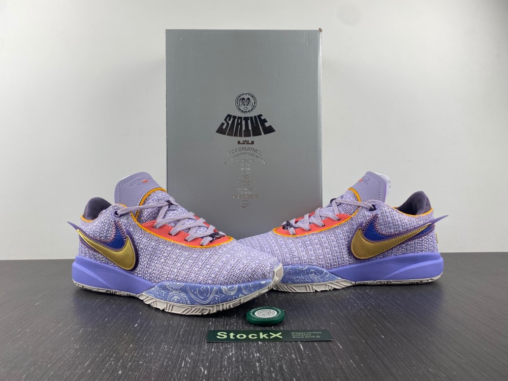 Nike LeBron 20 Violet Frost  DJ5423-500