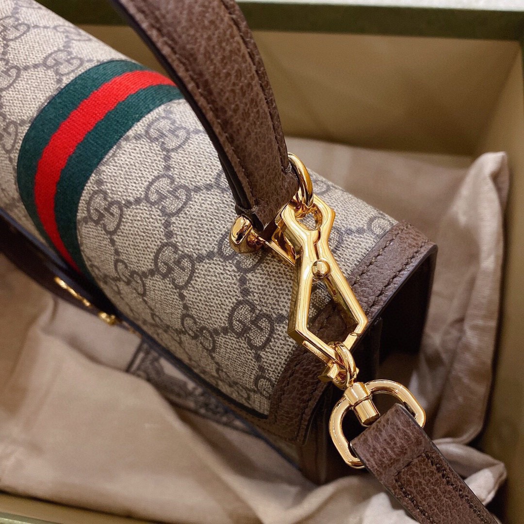 Gvcci Ophidia bag 25*17.5*7CM