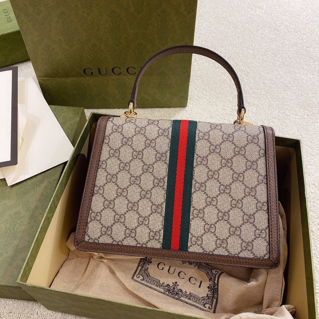 Gvcci Ophidia bag 25*17.5*7CM