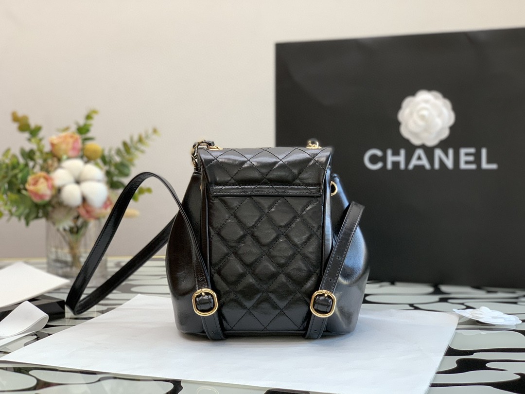 Chane1 BAKCPACK 140318B 18x18x12cm