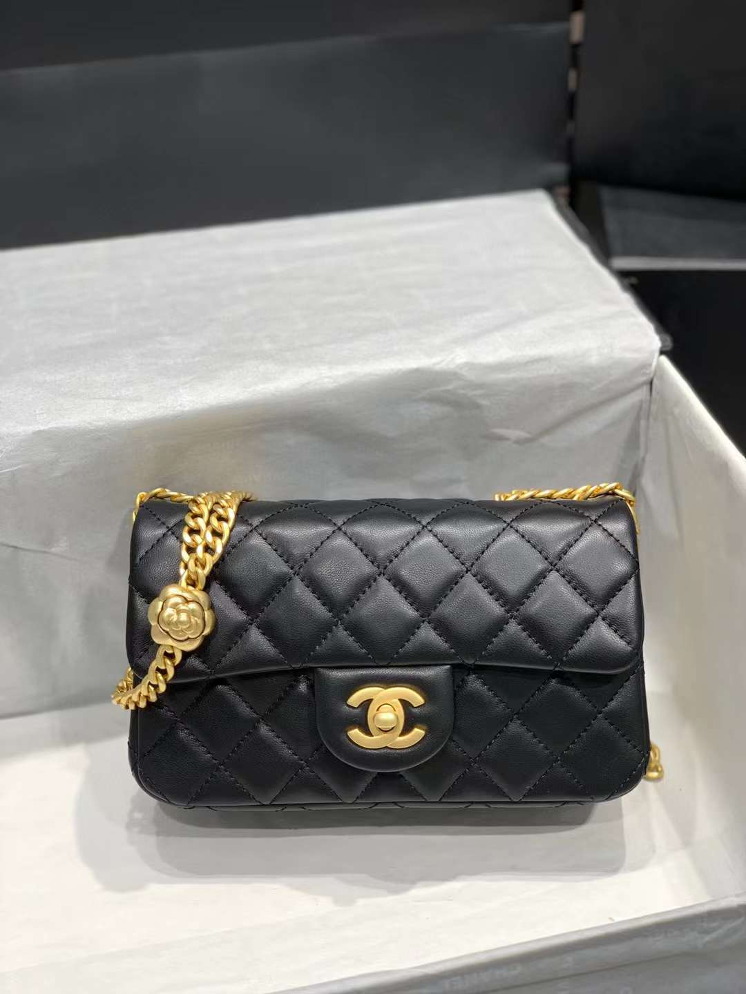 Chane1 AS4041 12×20×6.5cm