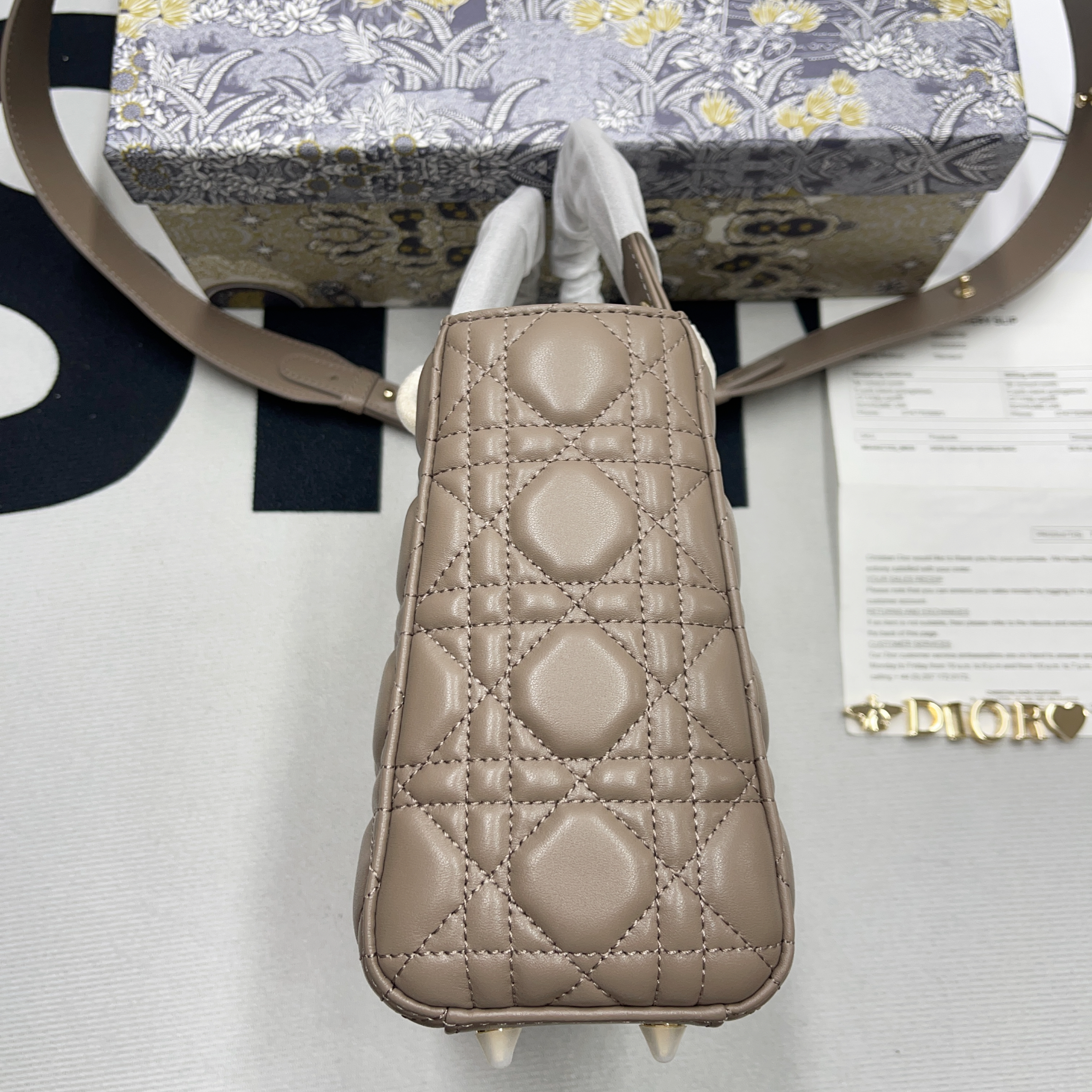 D10R Lady 20CM 2023051701