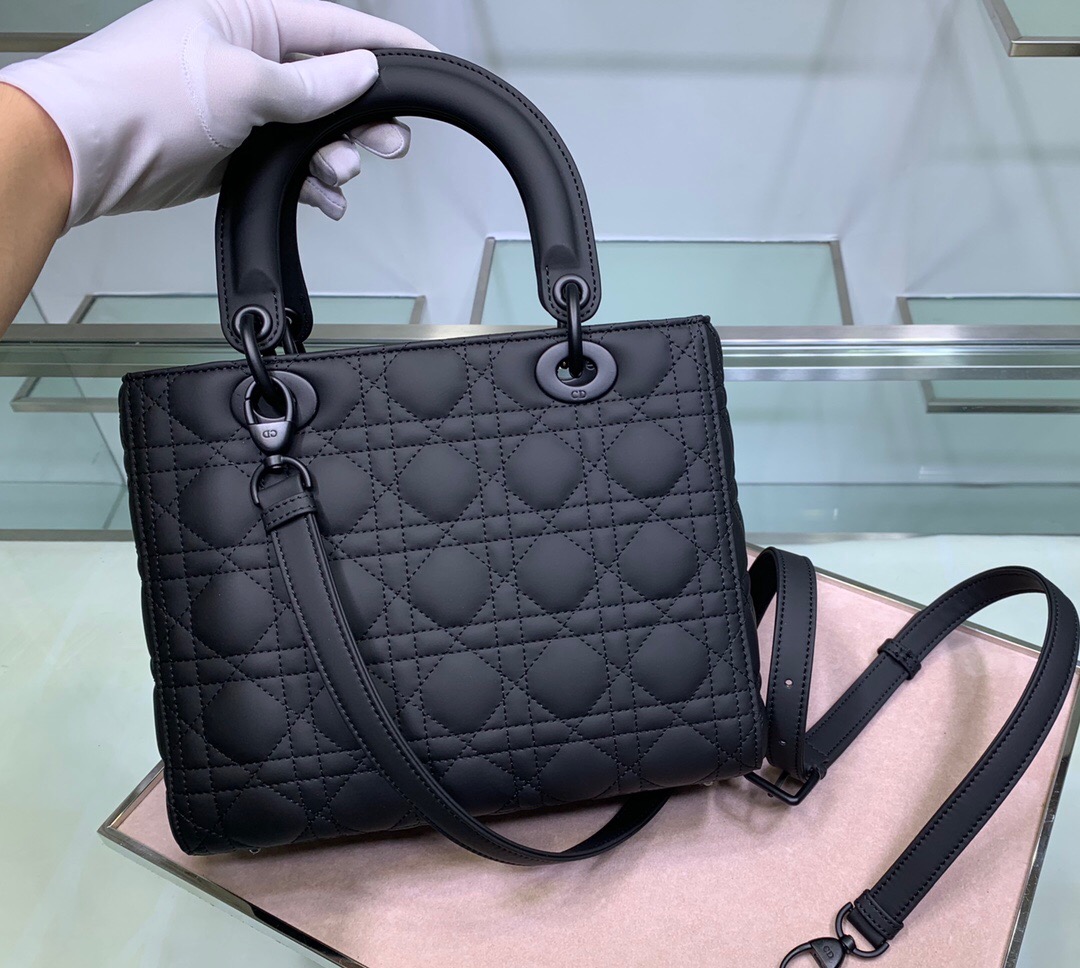 D10R Lady 24cm 2023051702