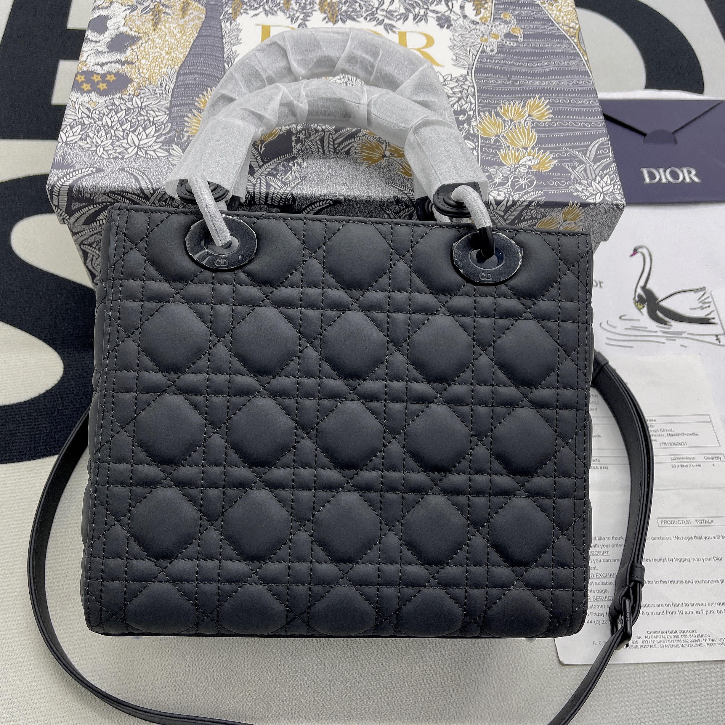 D10R Lady 24cm 2023051702