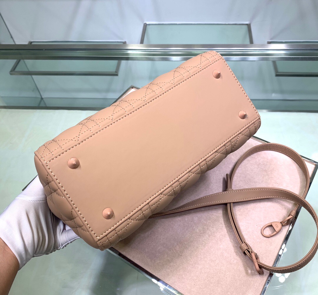 D10R Lady 24cm 2023051703