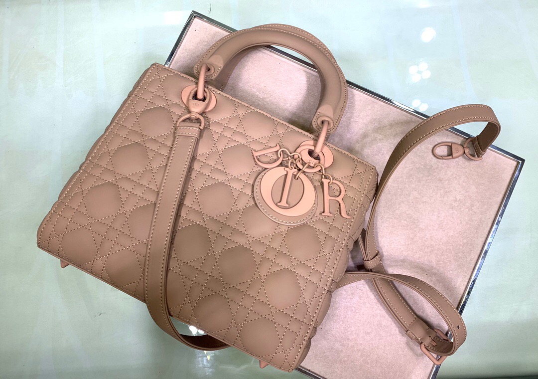 D10R Lady 24cm 2023051703