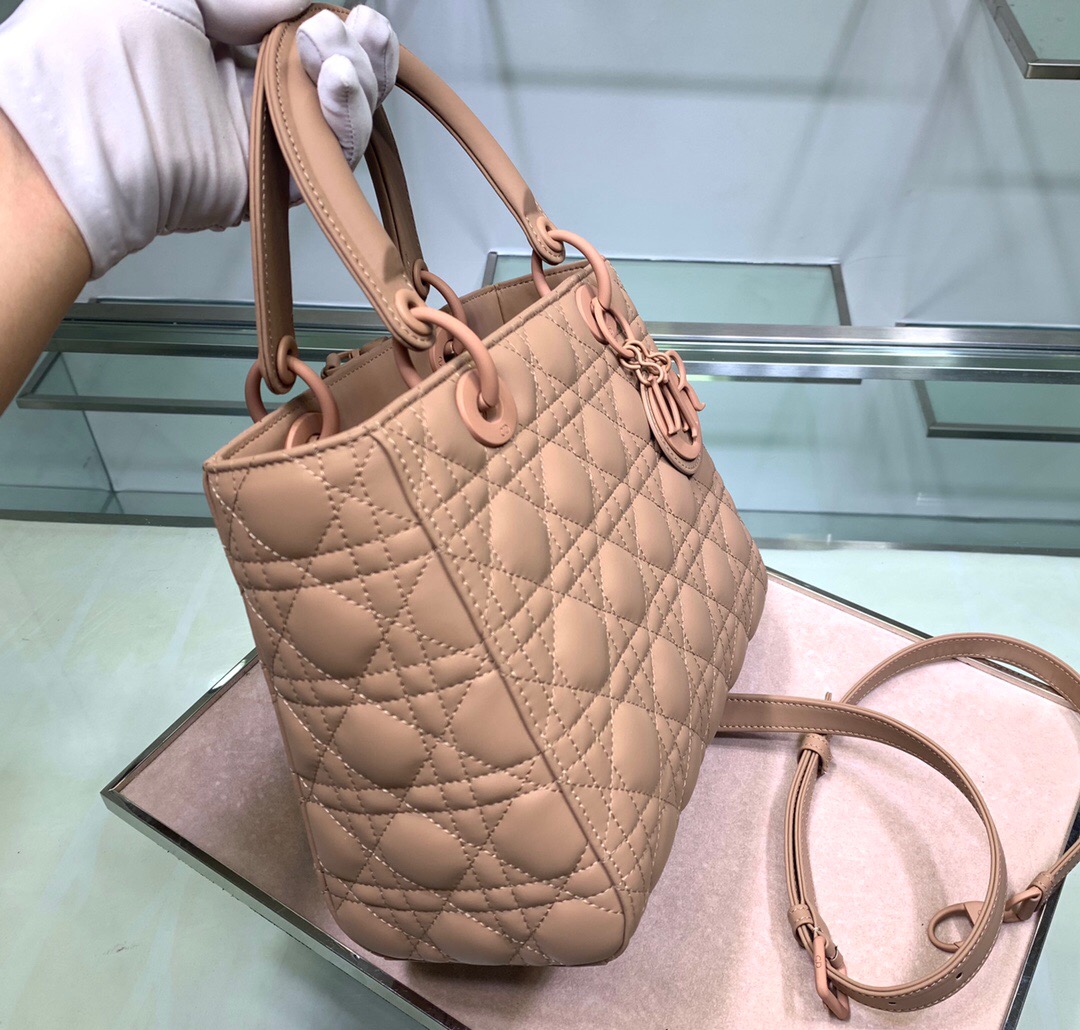 D10R Lady 24cm 2023051703