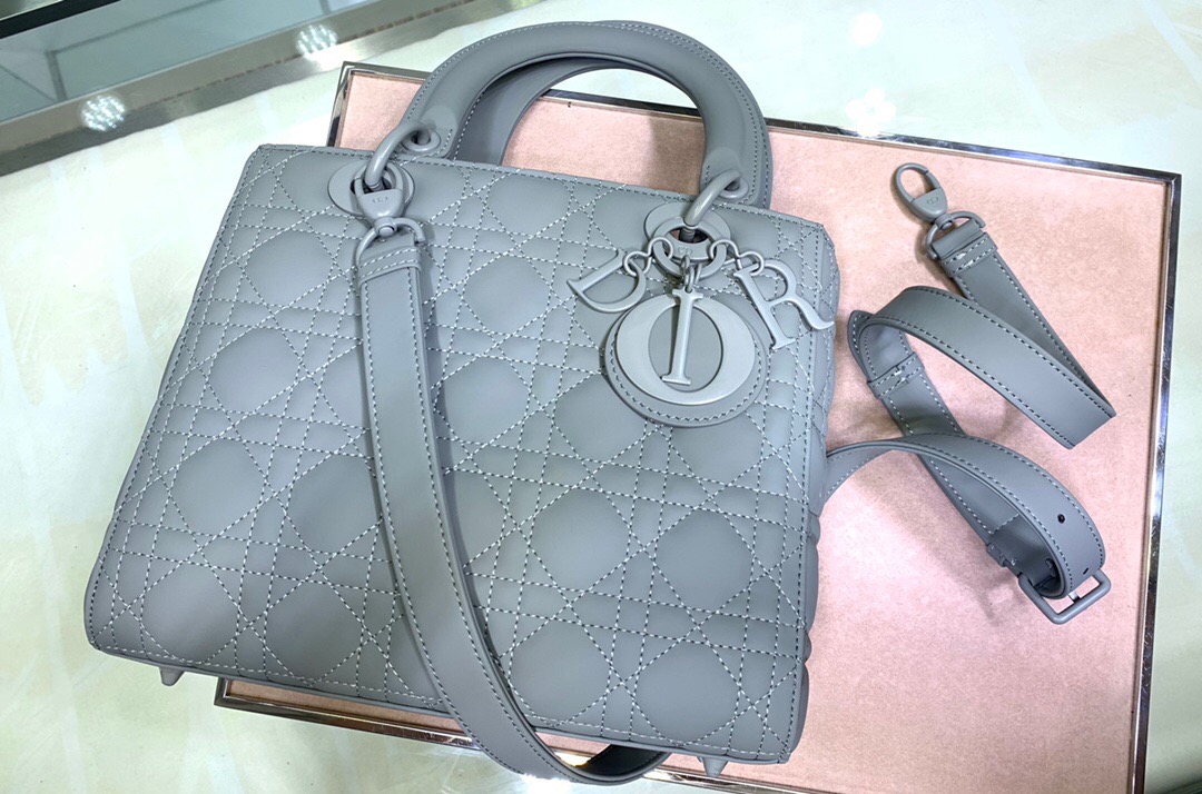 D10R Lady 24cm 2023051704