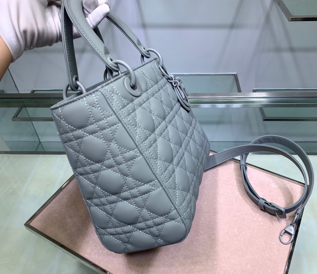 D10R Lady 24cm 2023051704