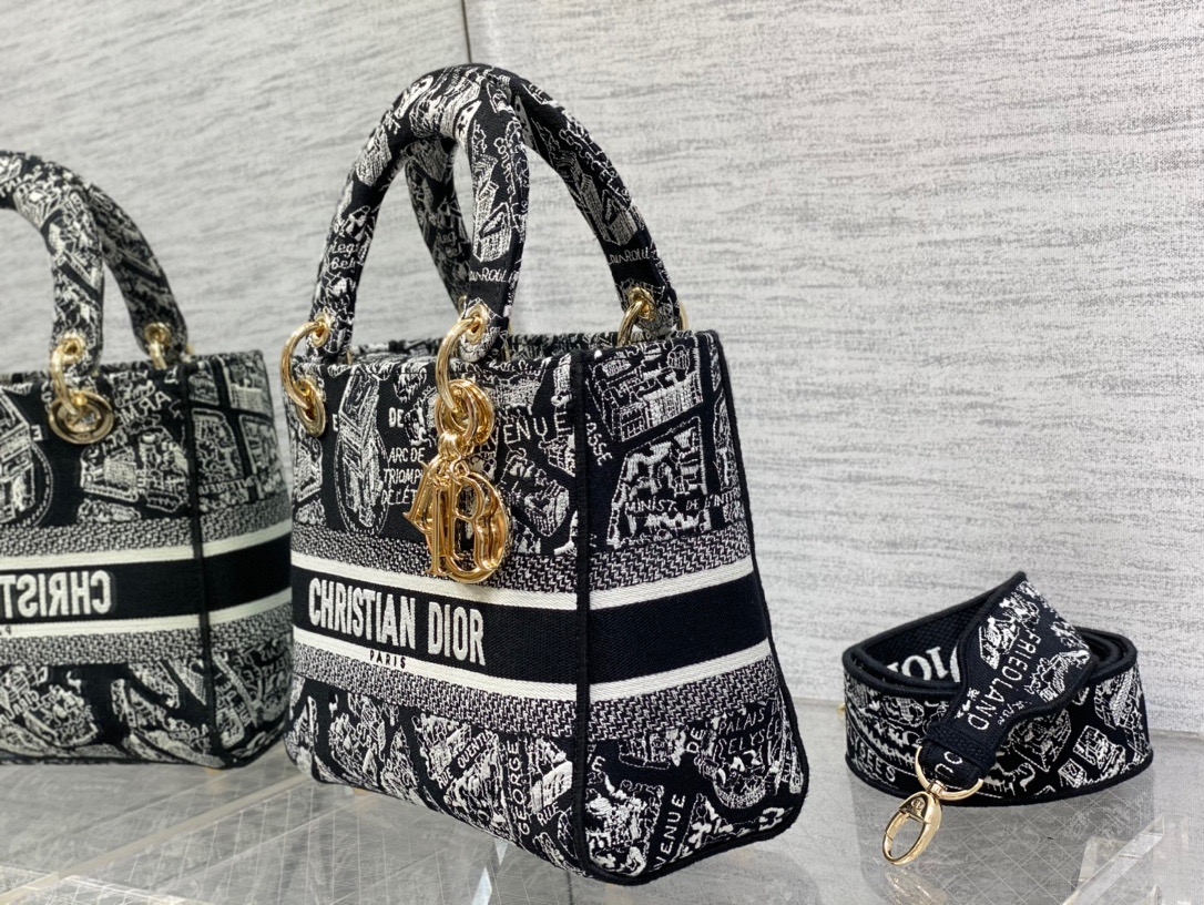D10R Lady 24cm NA000 2023051801