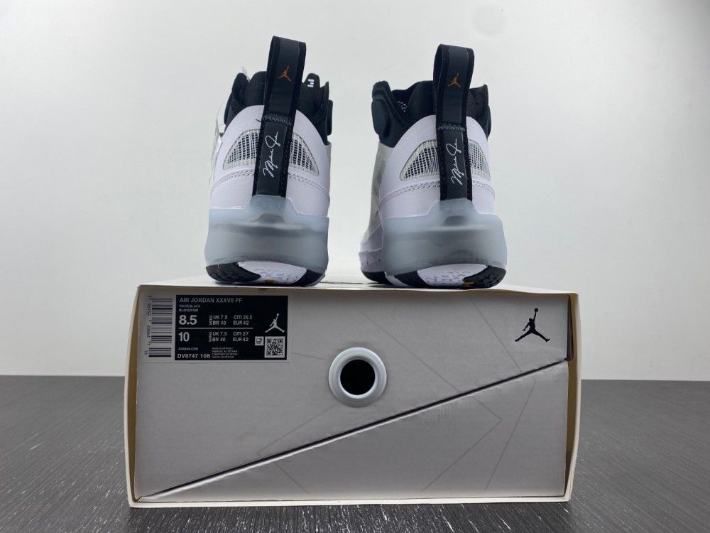 Air Jordan XXXVII Guo PF DV0747-108