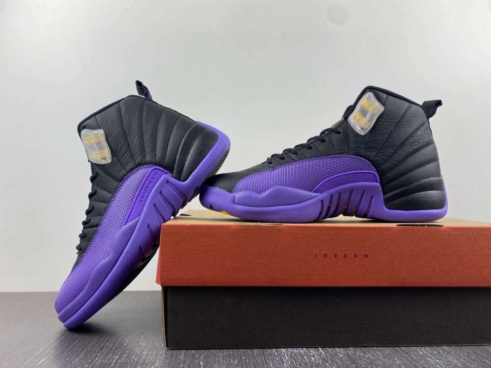 Air Jordan 12 2023052901