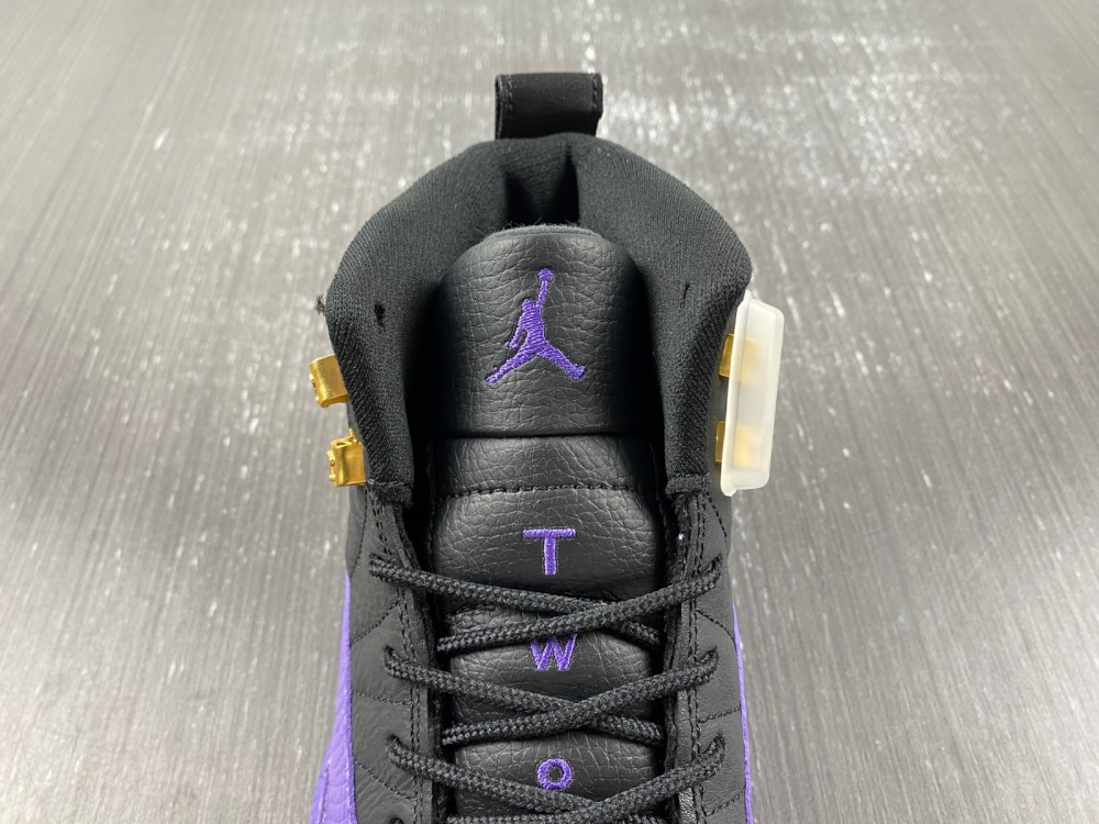 Air Jordan 12 2023052901