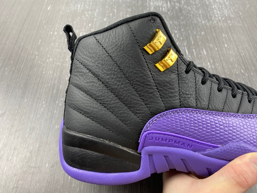 Air Jordan 12 2023052901