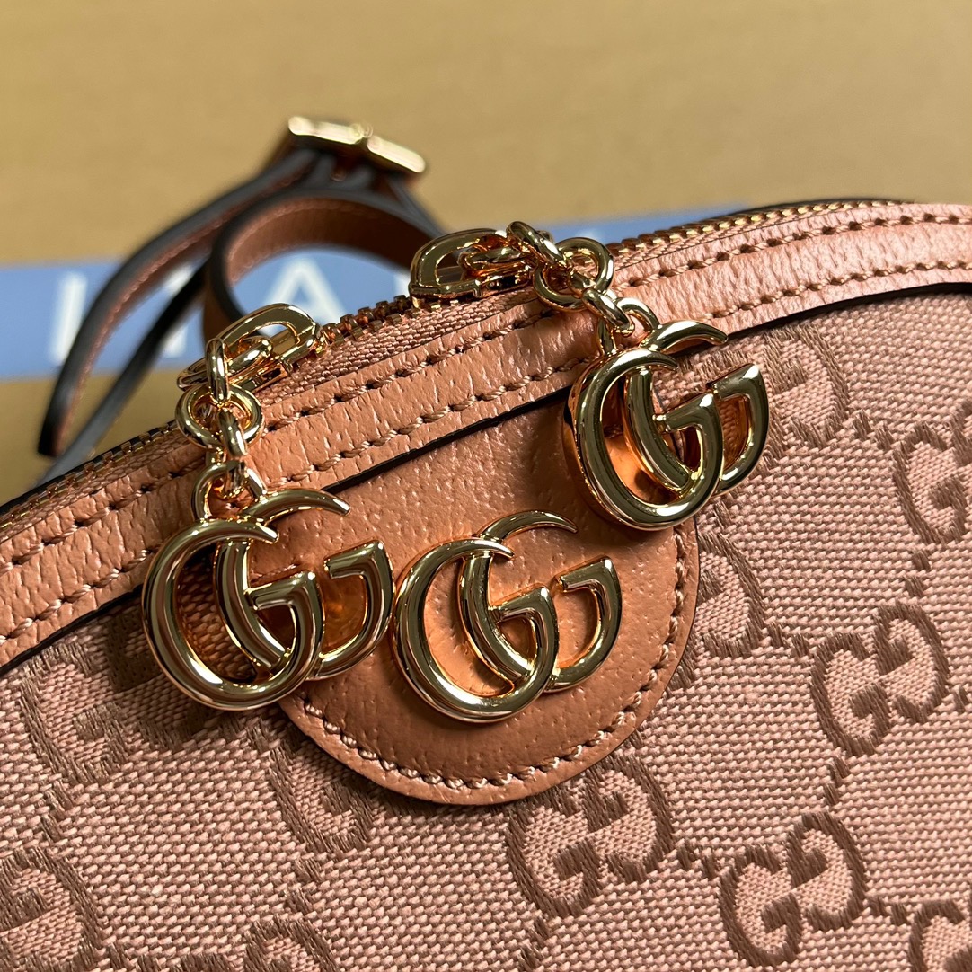 Gvcci Ophidia bag 23.5*19*8 2023070101