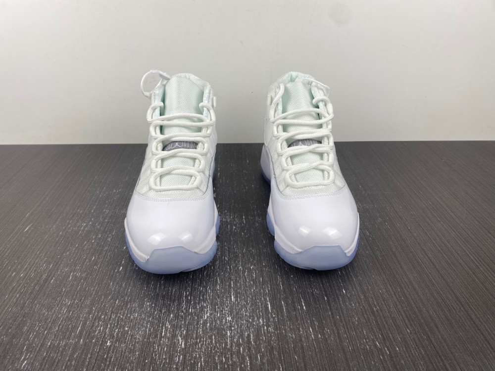 Air Jordan 11 Retro Silver Anniversary 408201-101