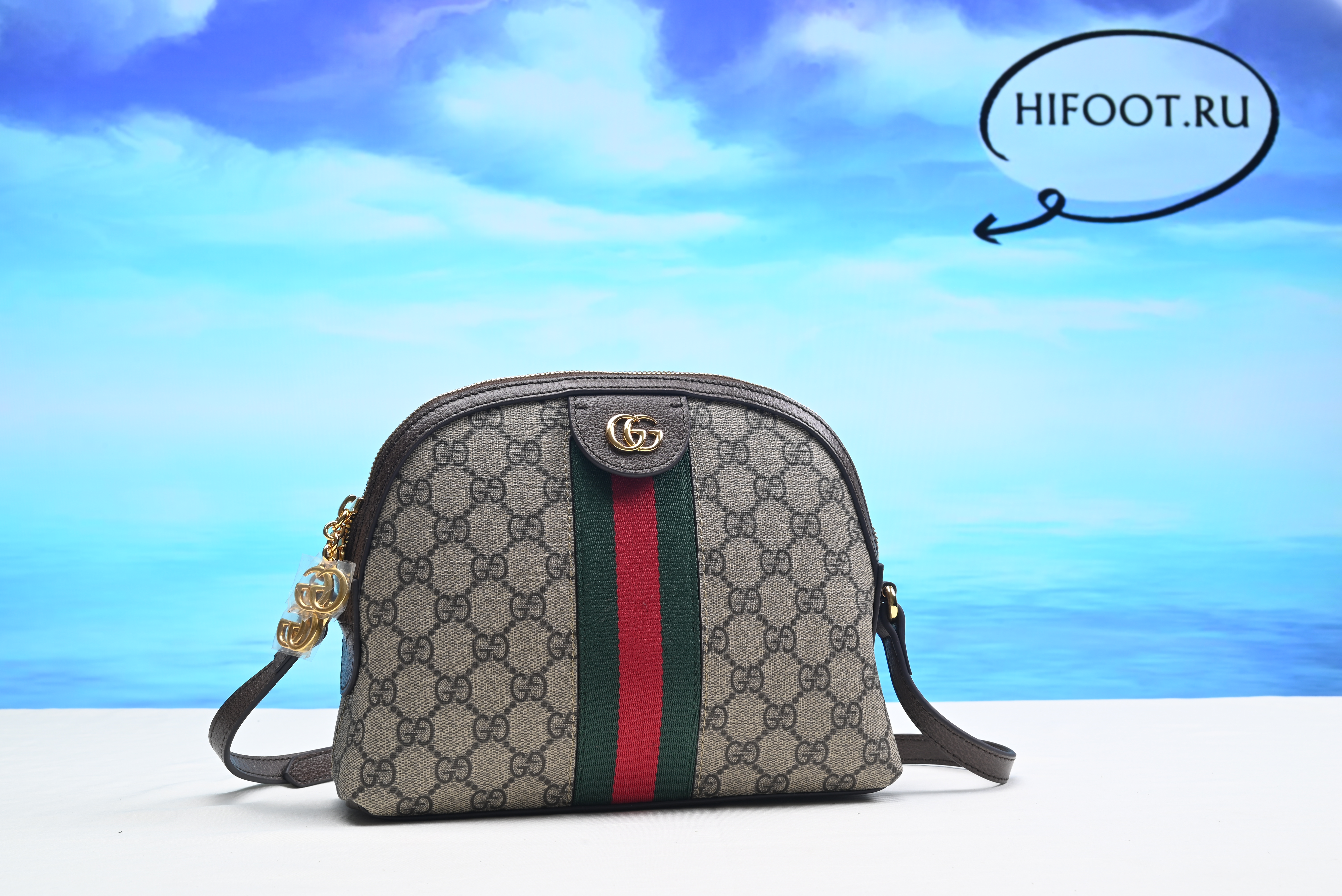 Gvcci Ophidia GG small shoulder bag 23.5 cm