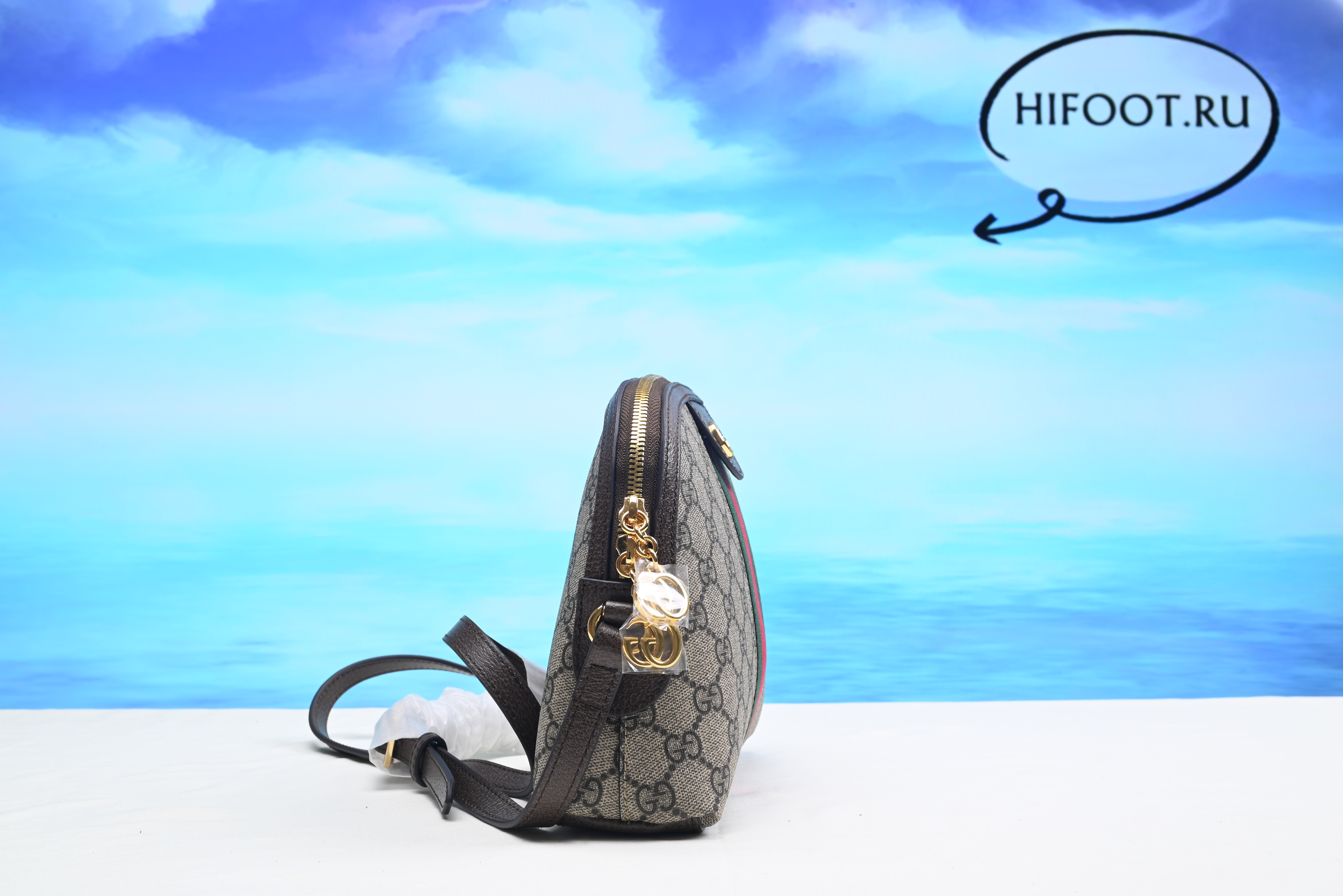 Gvcci Ophidia GG small shoulder bag 23.5 cm