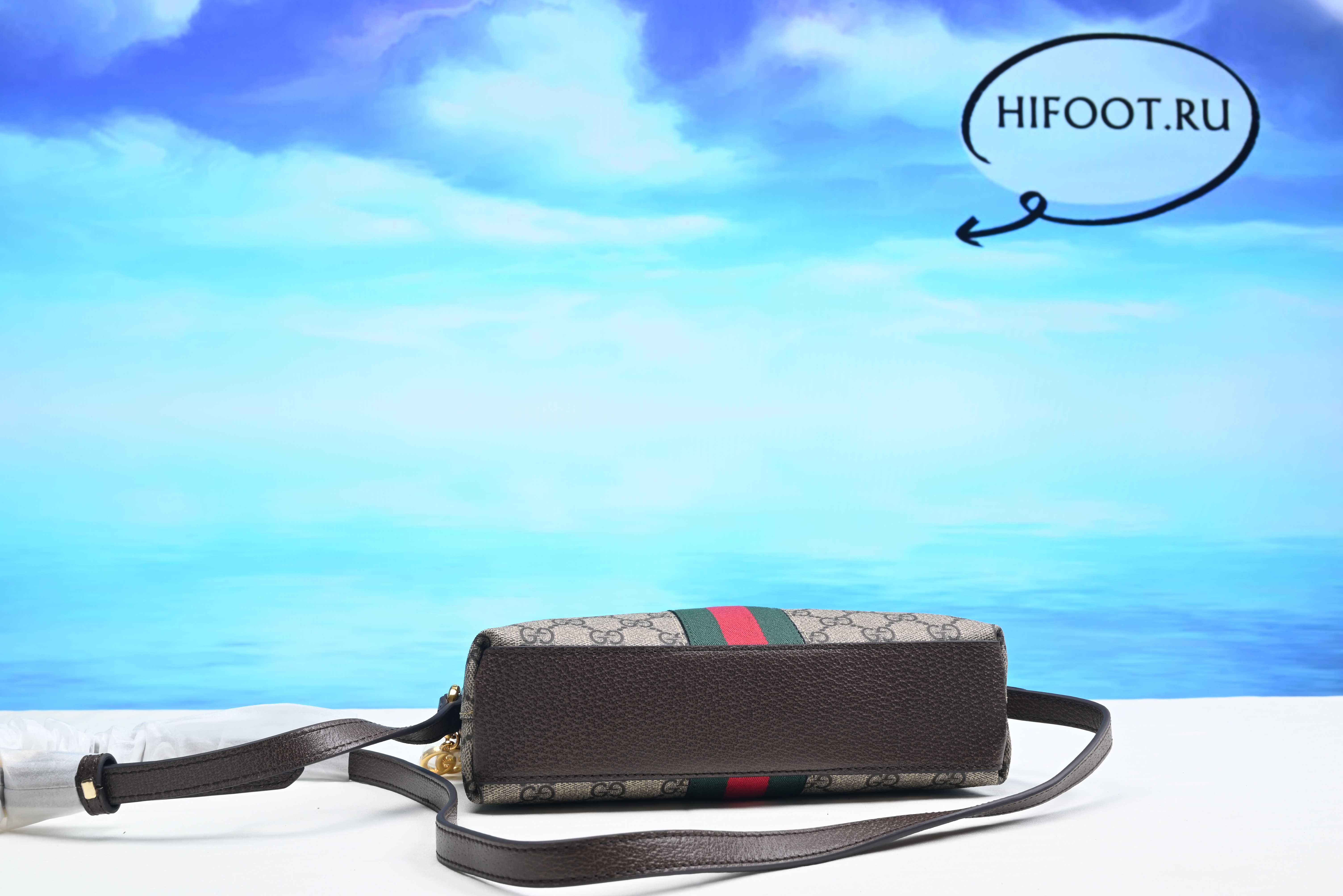 Gvcci Ophidia GG small shoulder bag 23.5 cm