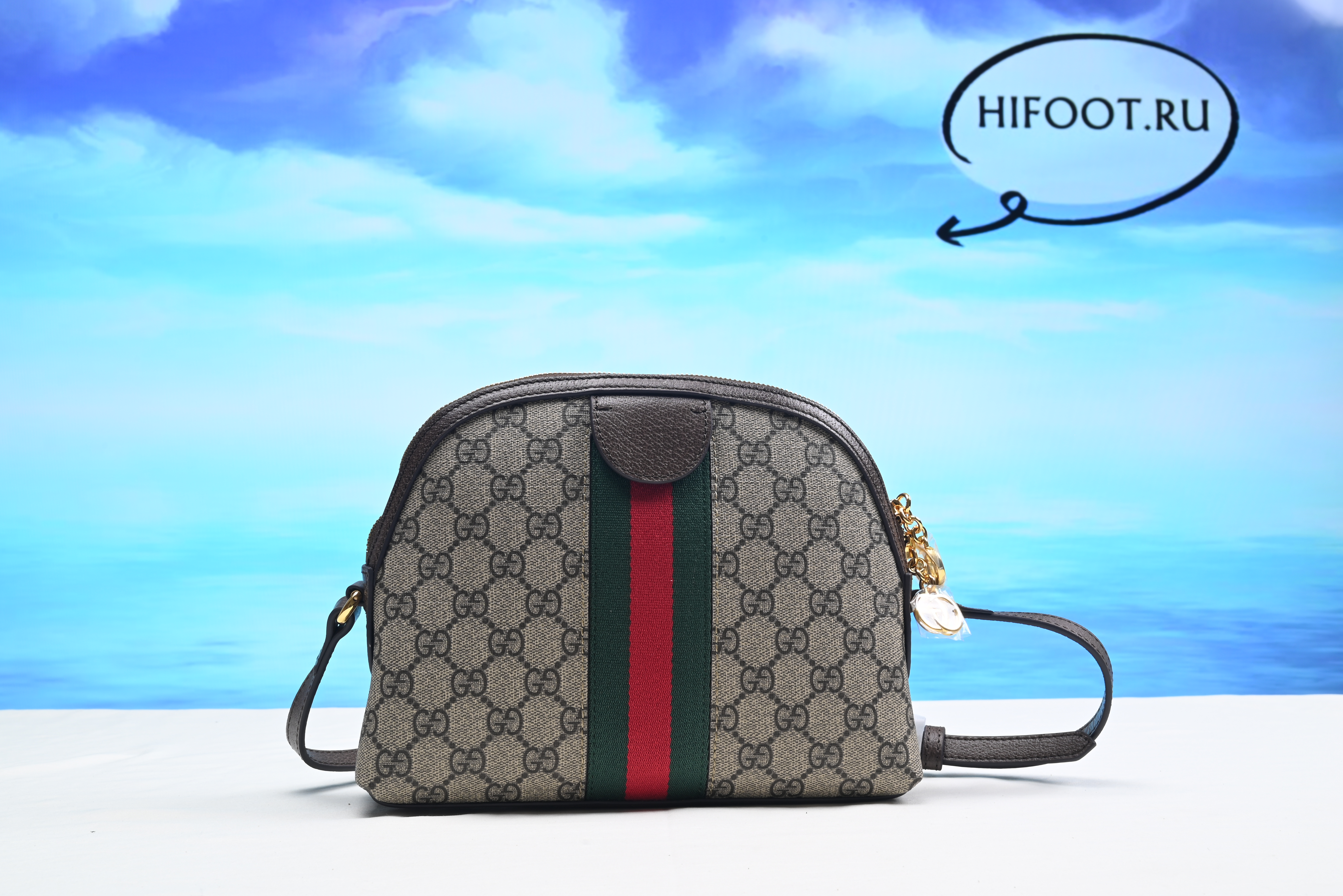 Gvcci Ophidia GG small shoulder bag 23.5 cm