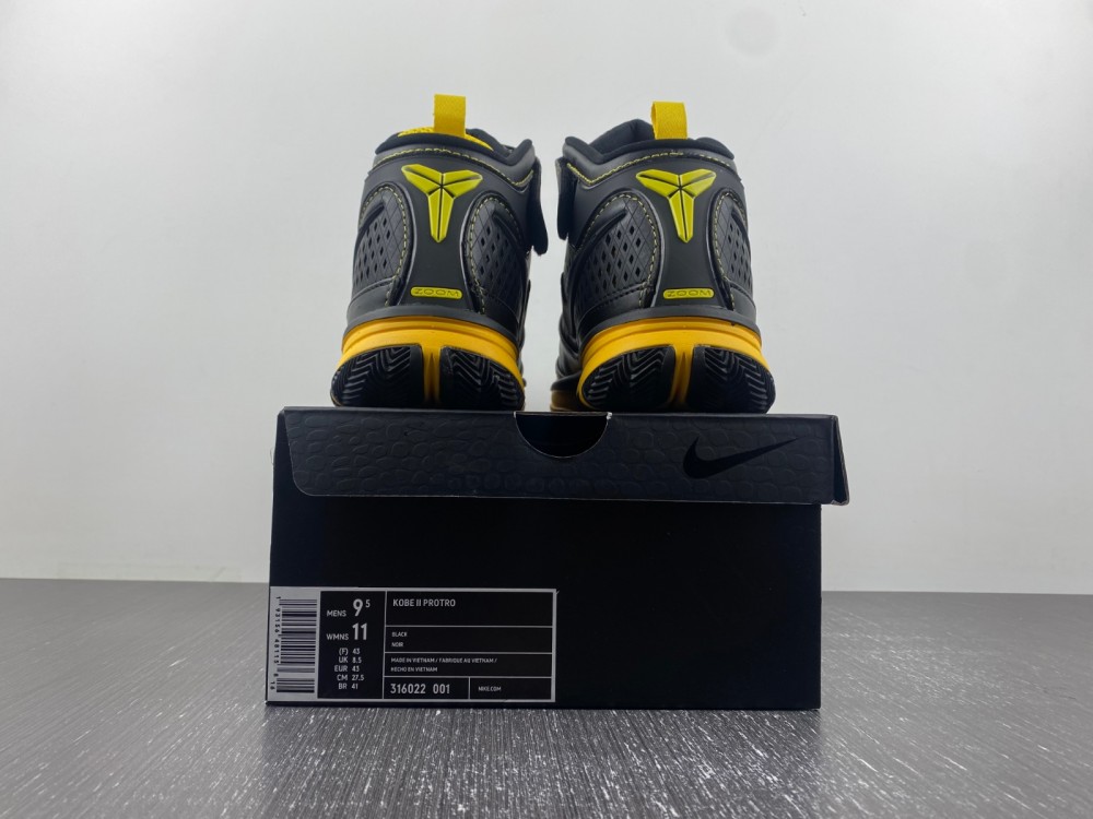 Nike Zoom Kobe 2 Carpe Diem  316022-001