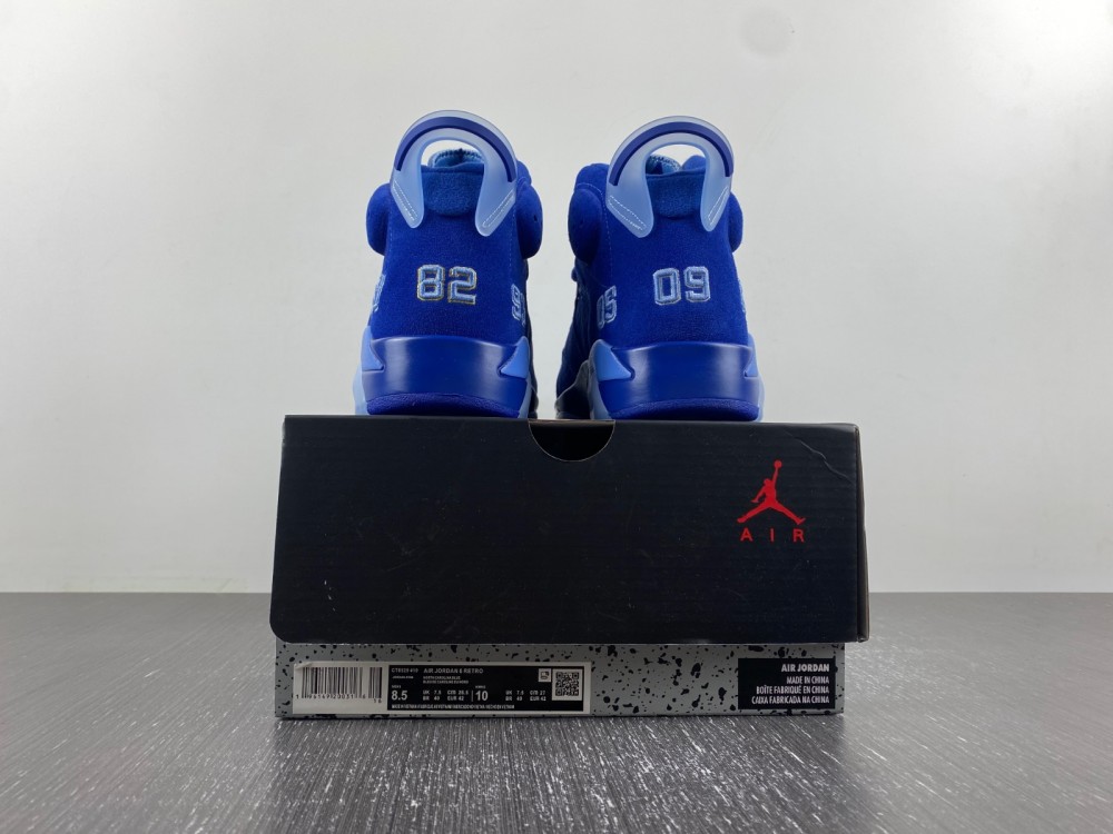 Air Jordan 6 CT8529-410