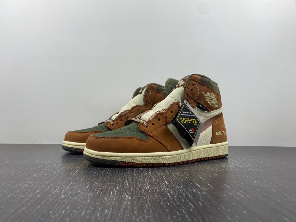 Air Jordan 1 Gore-Tex  DB2889-100