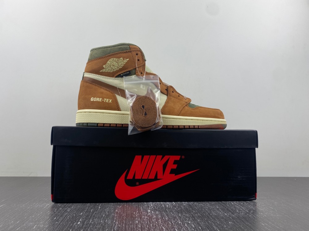 Air Jordan 1 Gore-Tex  DB2889-100