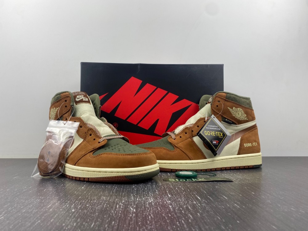 Air Jordan 1 Gore-Tex  DB2889-100