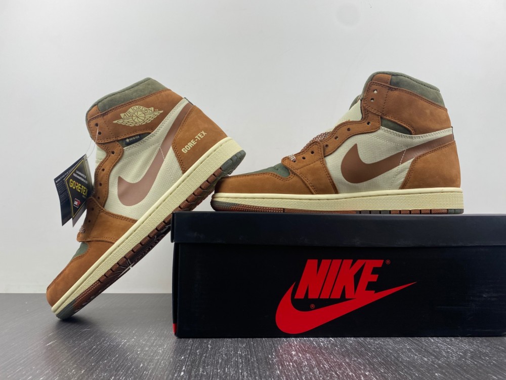 Air Jordan 1 Gore-Tex  DB2889-100
