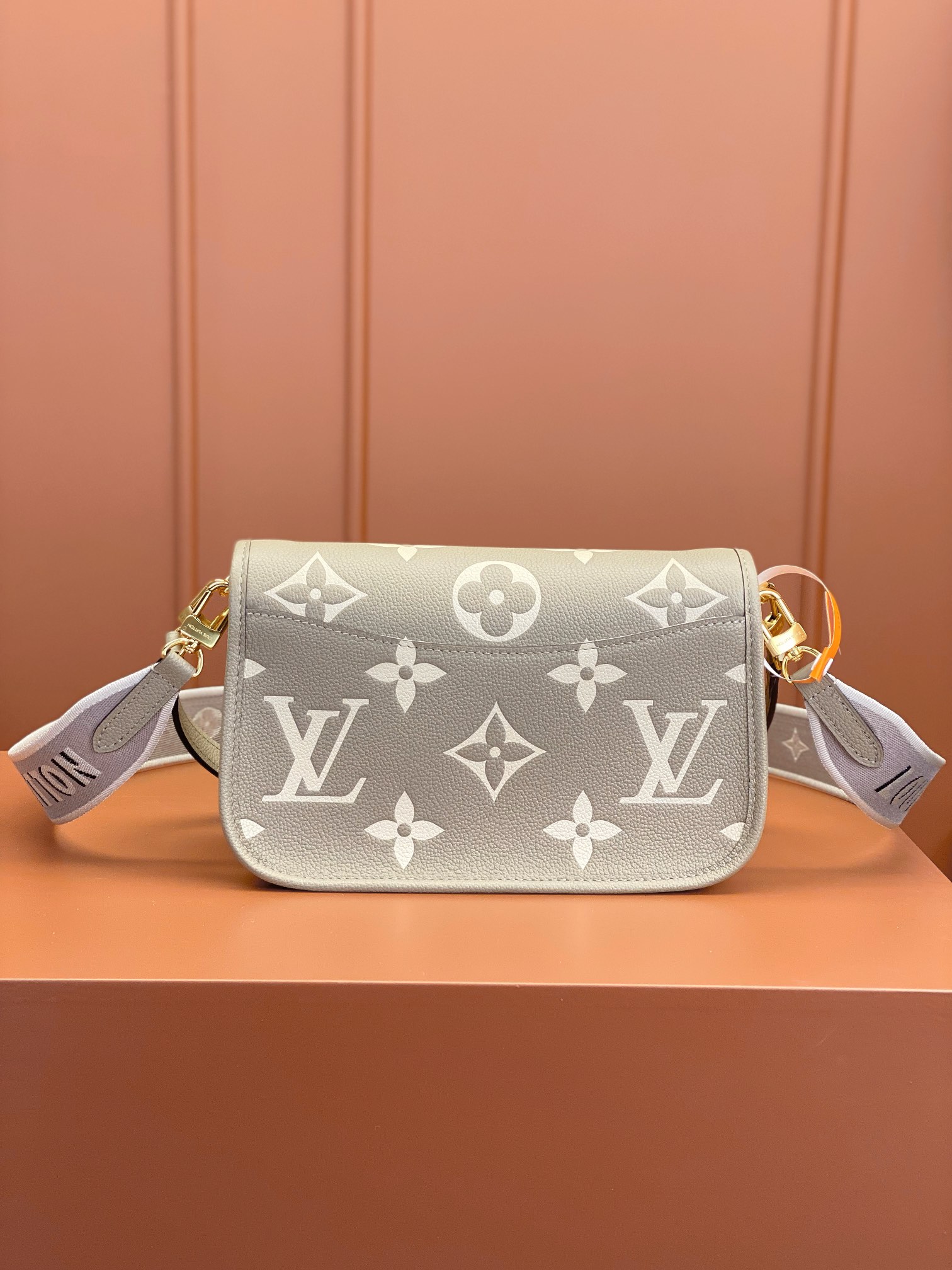 LV DIANE bag 23*16*8.5CM 2024010903