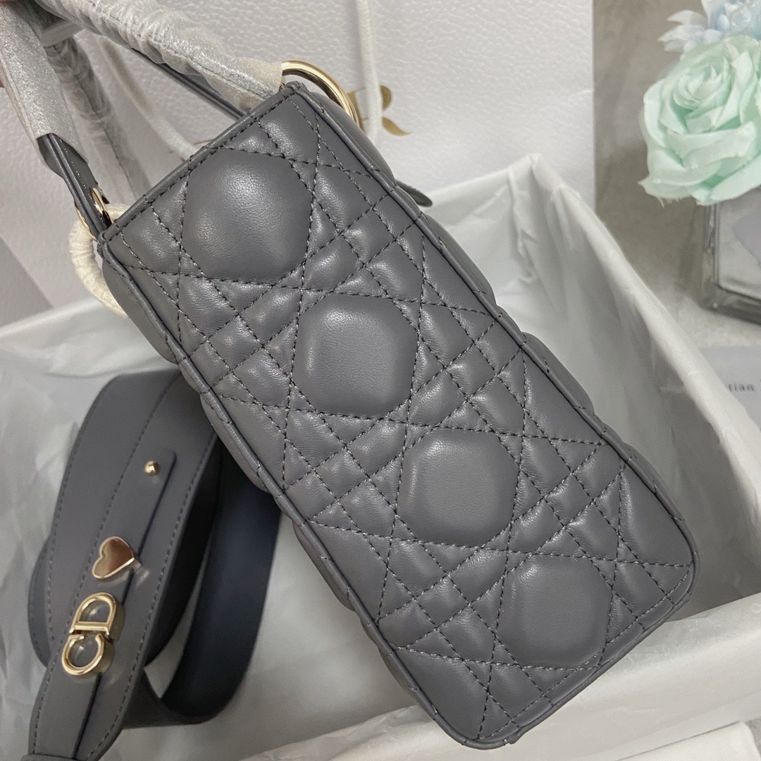 D*or lady 20cm 2024062101