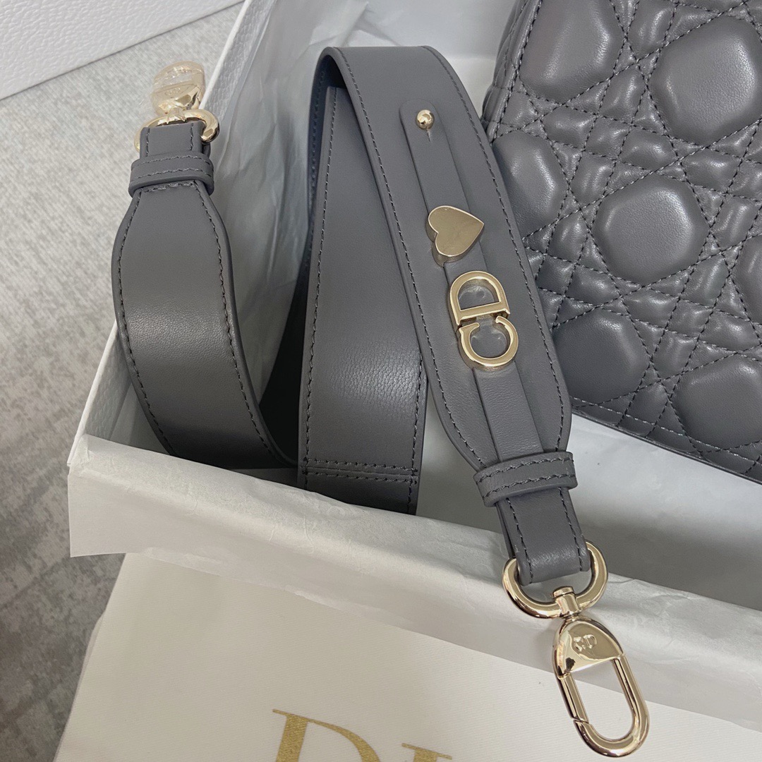 D*or lady 20cm 2024062101