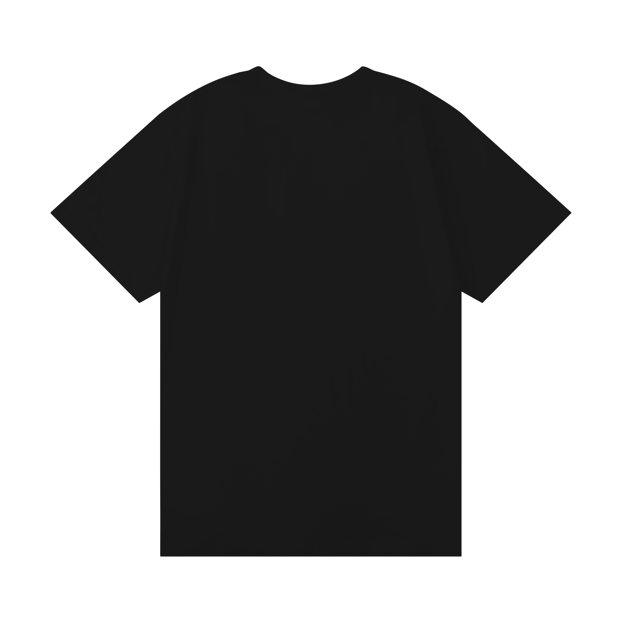 S*p*e t-shirt 2024070507