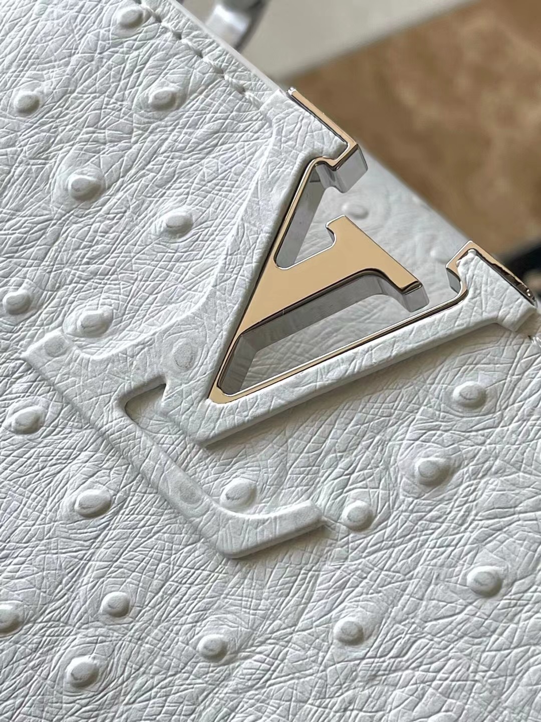 LV capucines N48865 21*14*8CM