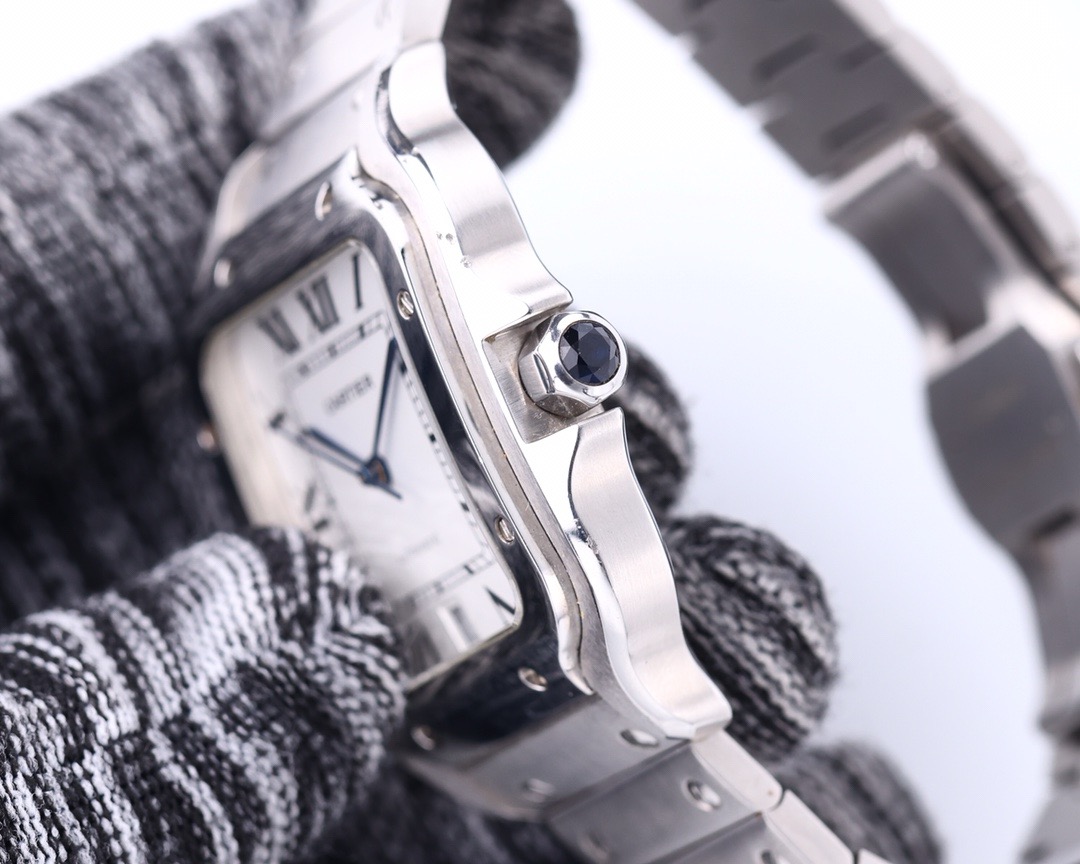 Ca*t*er watch 2024080601