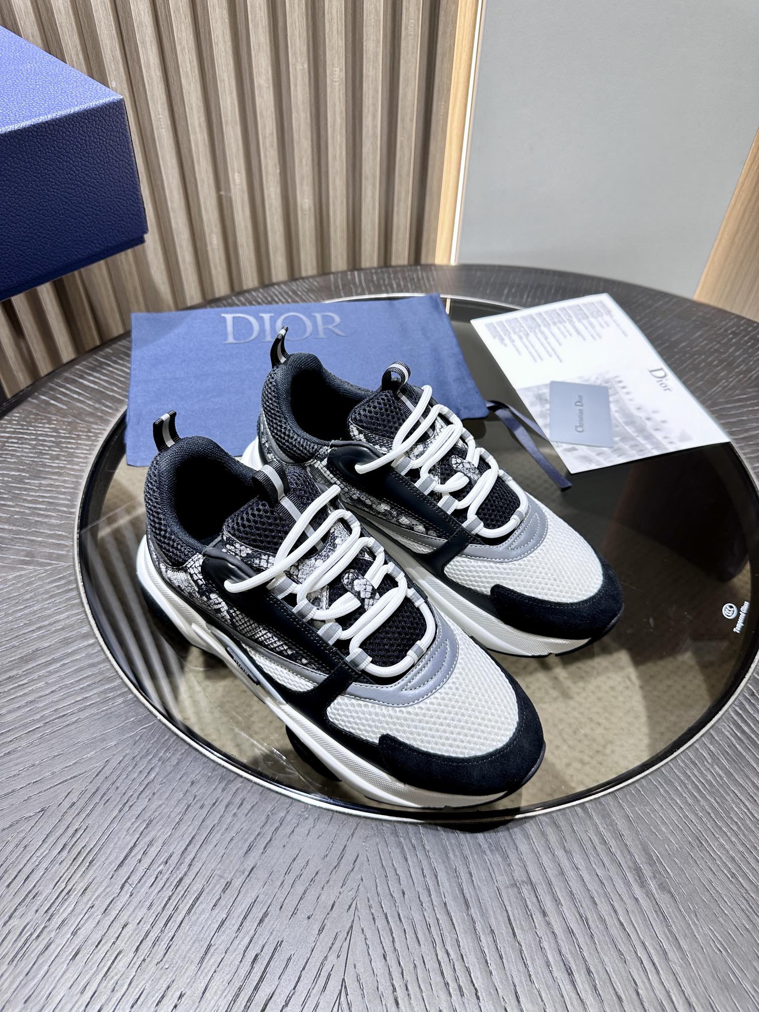 D*or b22 sneaker 2024101801