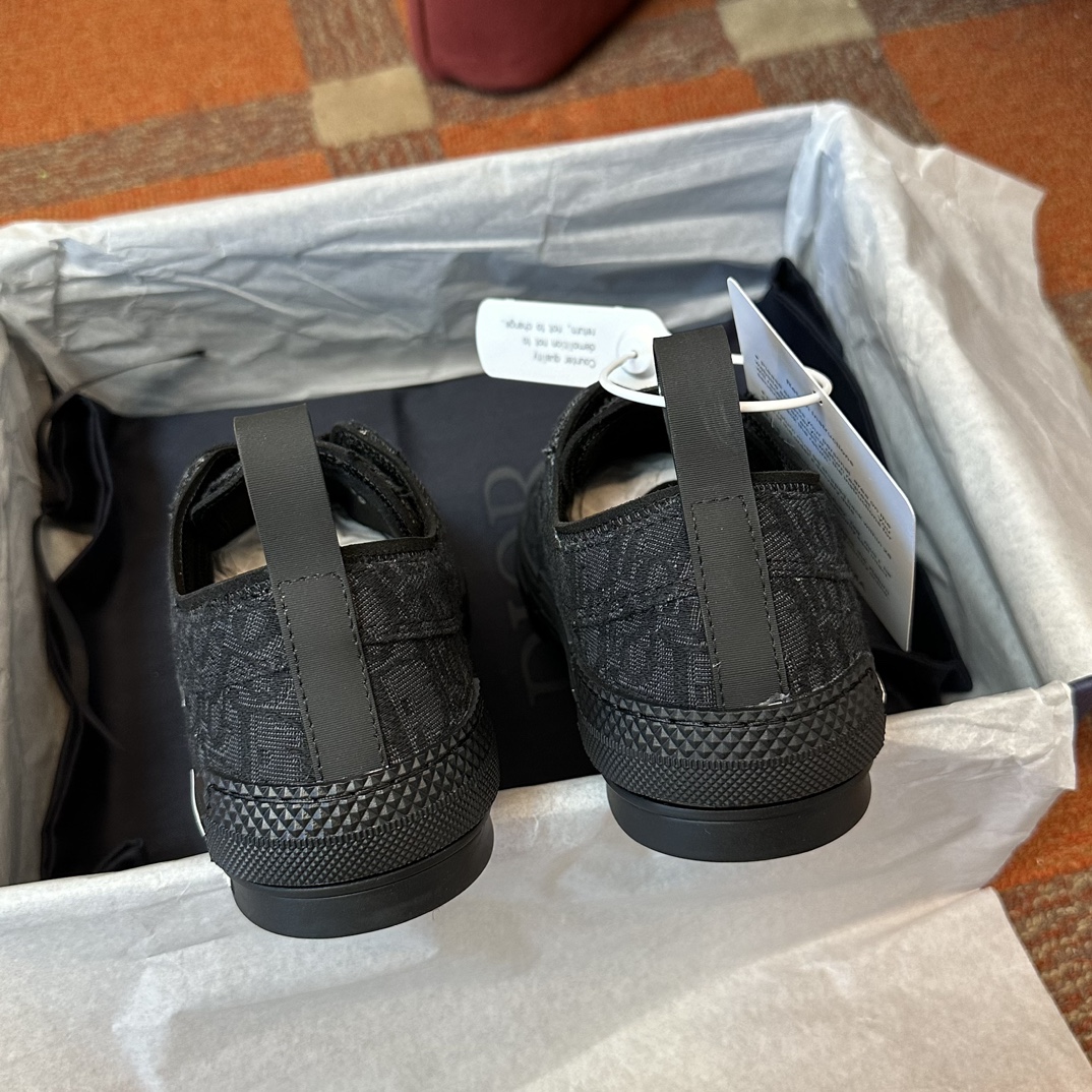 D*or sneaker 2024101805