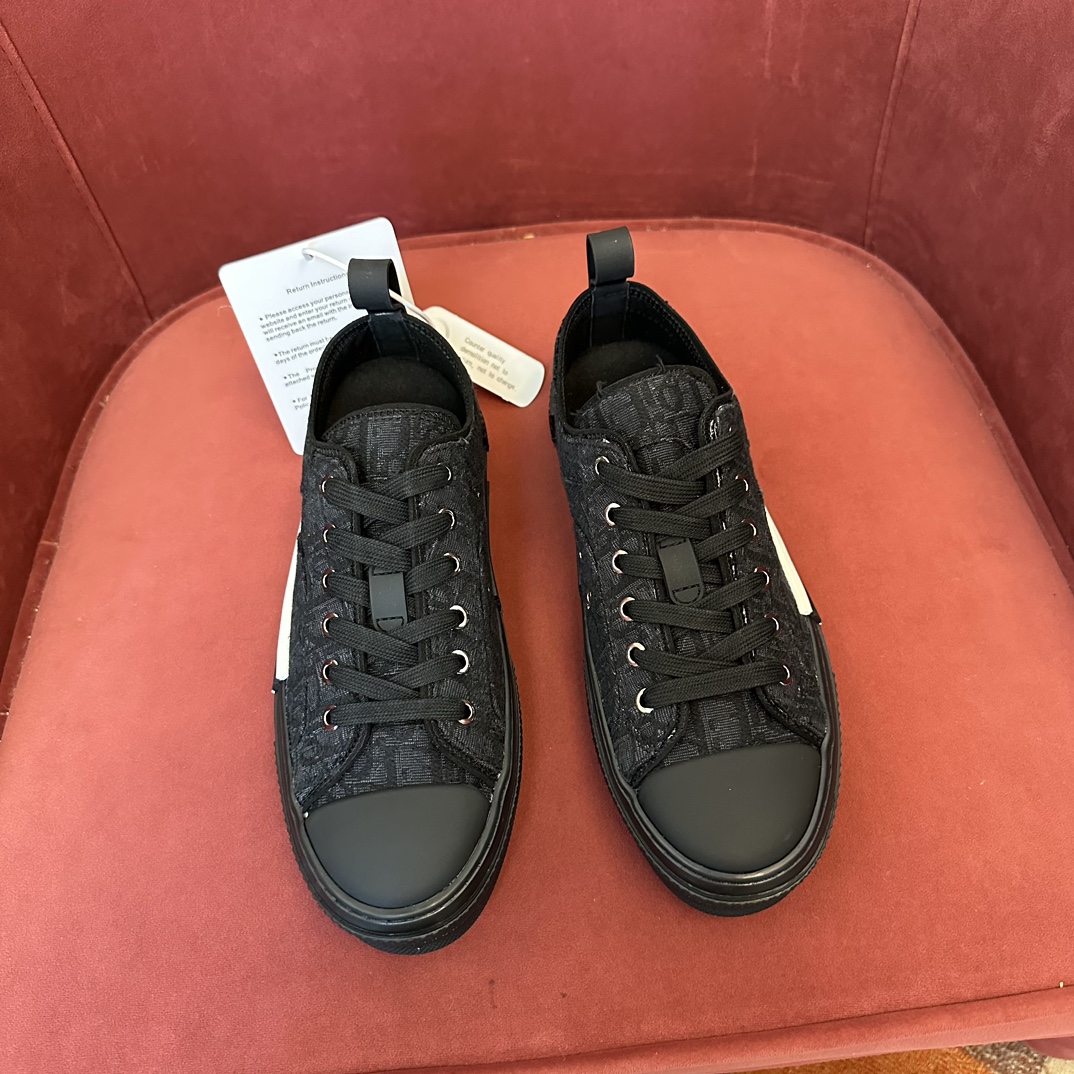 D*or sneaker 2024101805