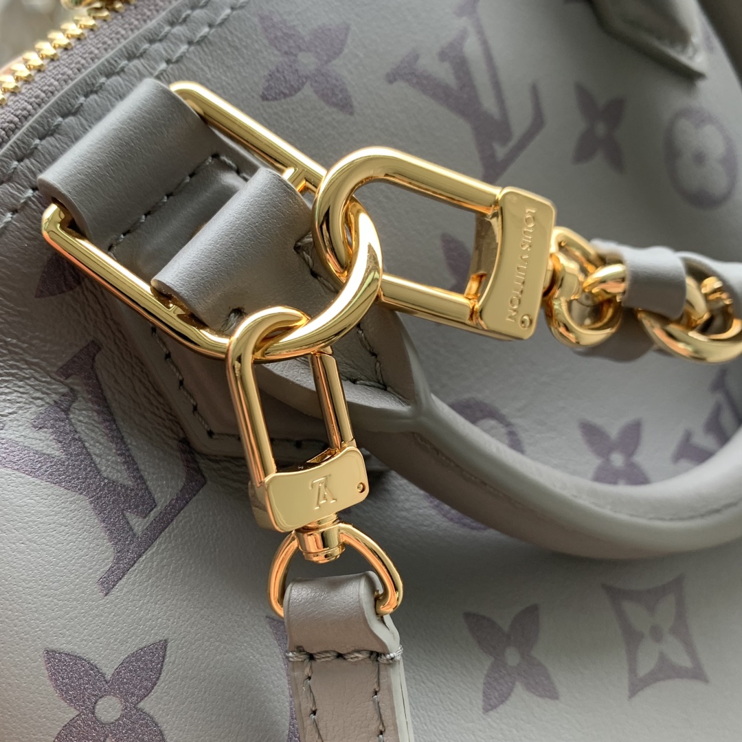 LV M12561 Alma BB Trianon Gray 23.5x17.5x11.5cm