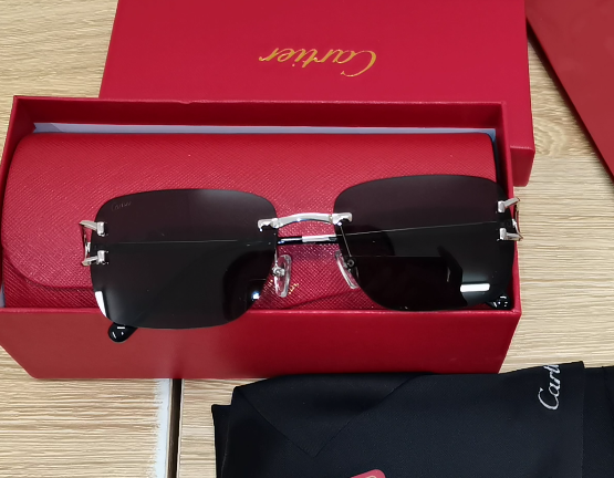 Ca*t*er sunglasses 2024110701