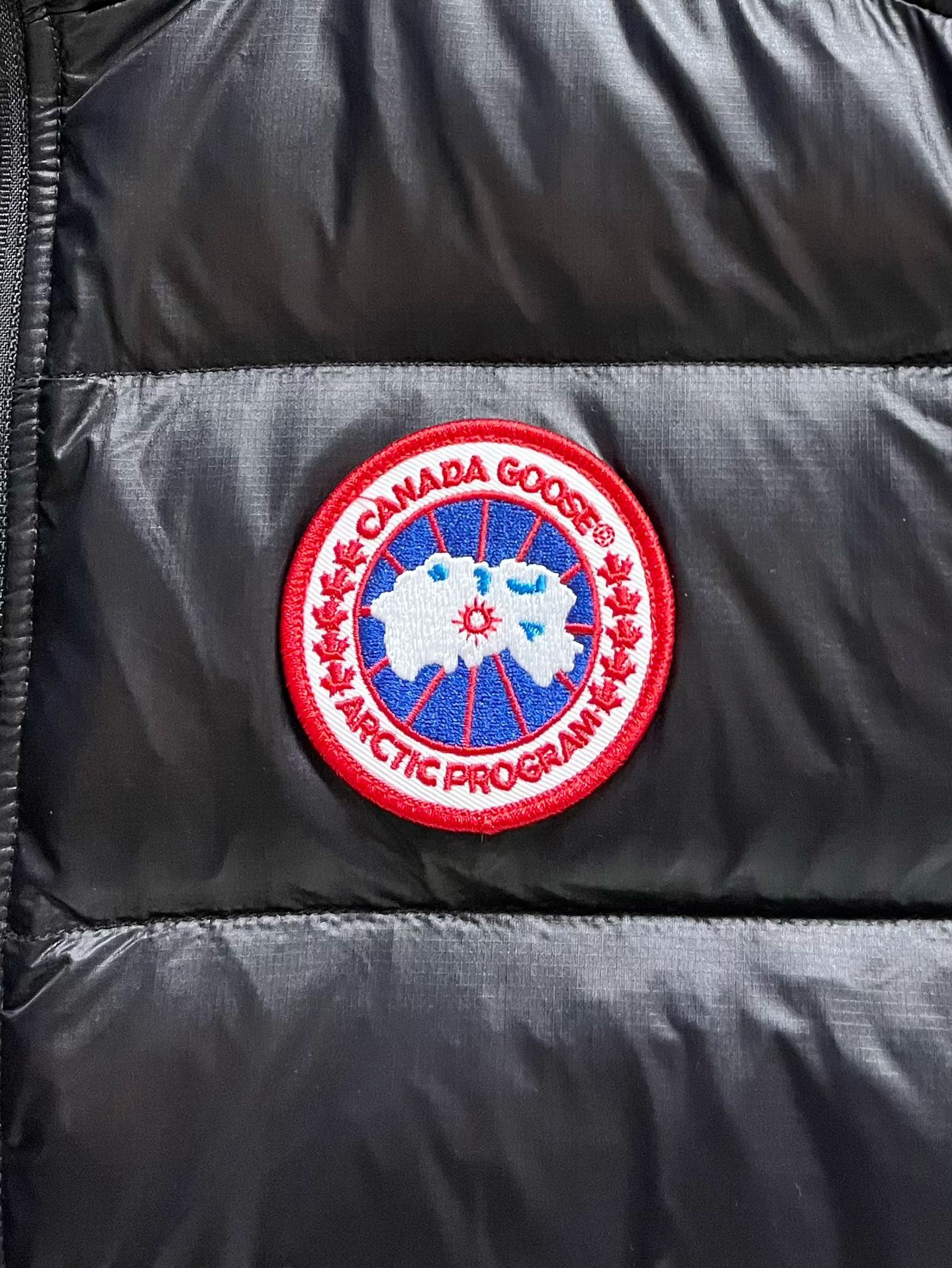Can*a Go*e vest 2024112202