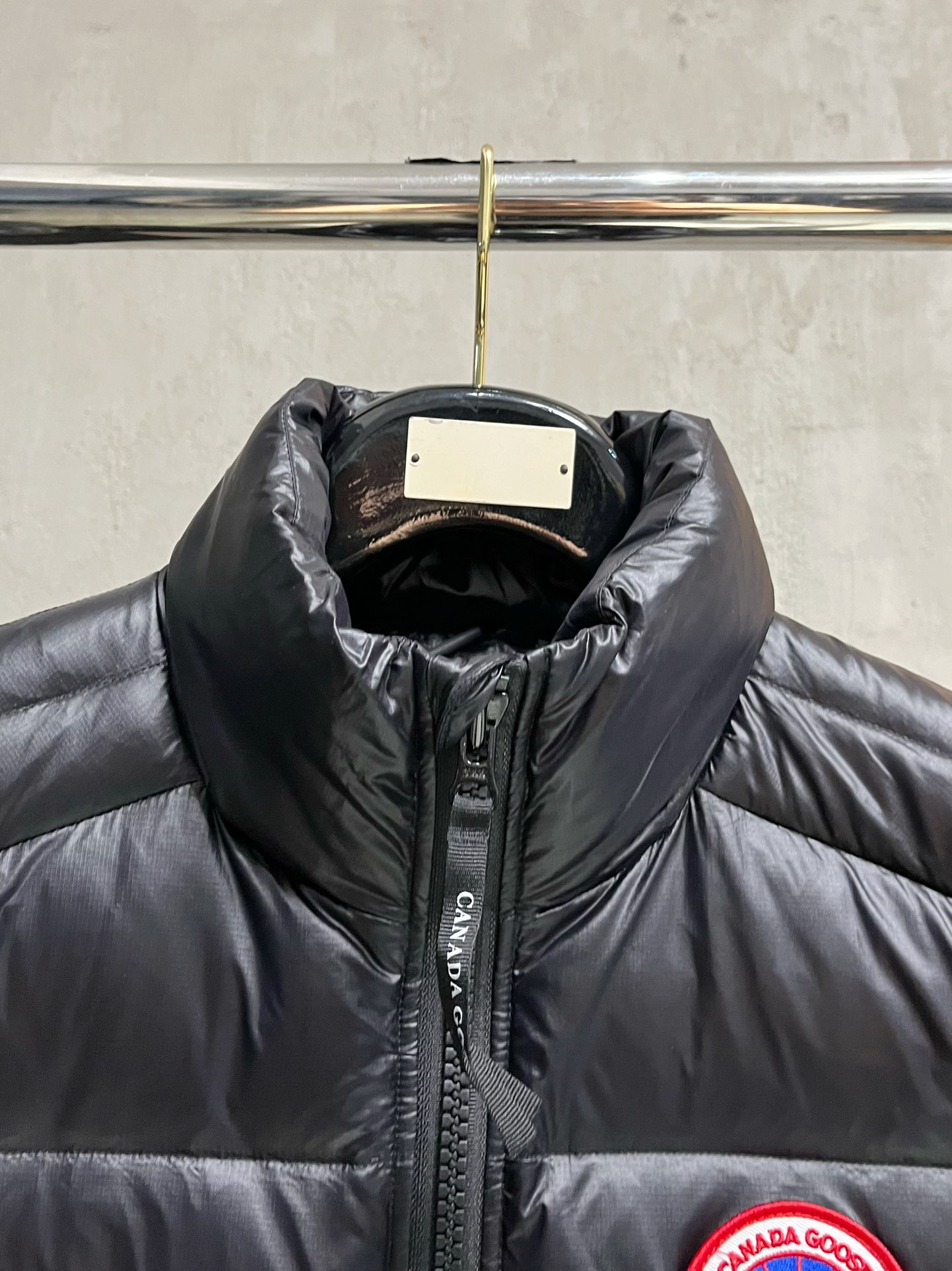 Can*a Go*e vest 2024112202