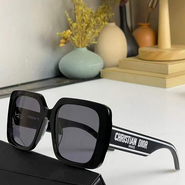 D*or sunglasses 2024121801