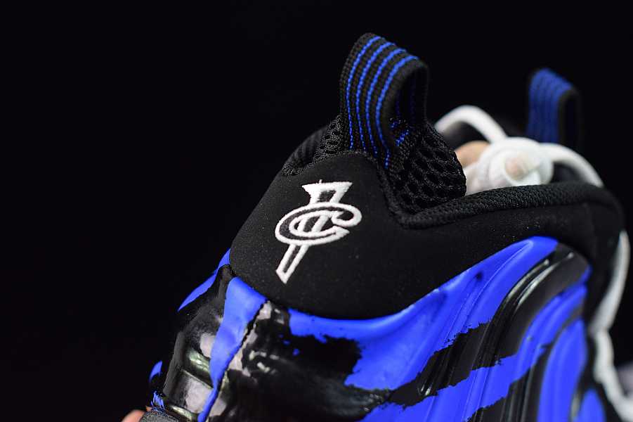 Nike Air Foamposite One Tigers  BV8161-400