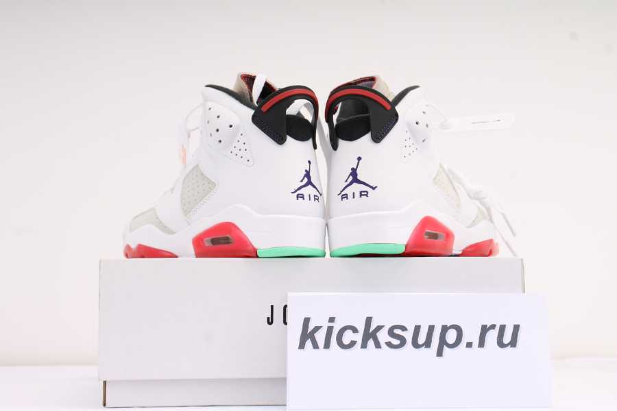 AIR JORDAN 6 RETRO CT8529062
