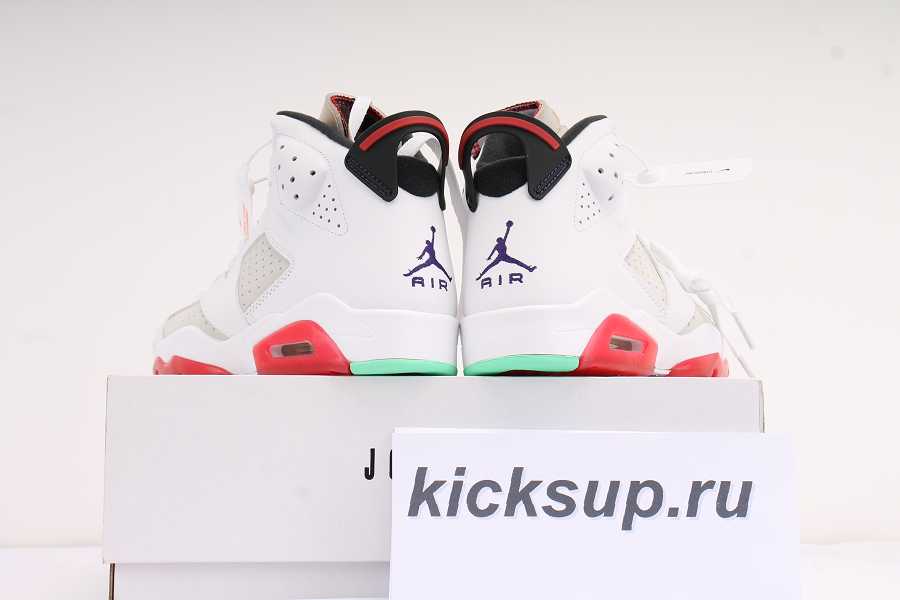 AIR JORDAN 6 RETRO CT8529062