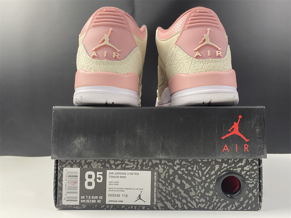 Jordan 3 Retro Sail Rust Pink (W)CK9246-116