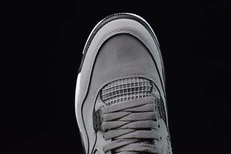 Air Jordan 4 Cool Grey 308497-007